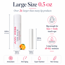 Load image into Gallery viewer, Ann Webb The Balm lip balm stick shown in a large size 0.5 oz container with a separate cap, featuring dimension labels, orange slices, and benefit icons on a white background.