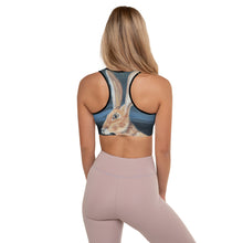 Load image into Gallery viewer, This Whimsy Fit &quot;Jack&quot; Padded Sports Bra is the perfect bra for your workouts
